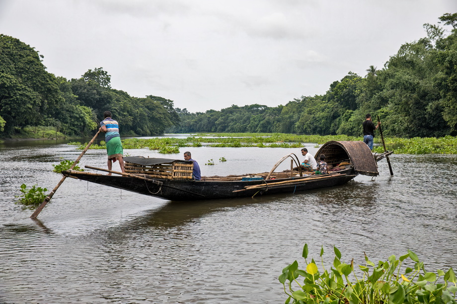 Otter Fishing in Bangladesh